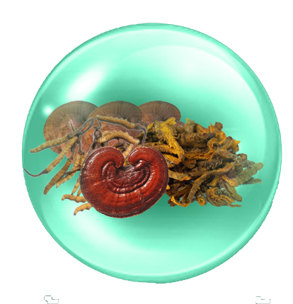 beta glucan