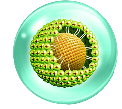 beta glucan